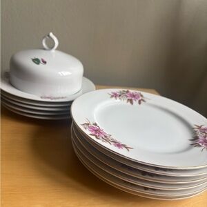 White Dinner Plates with Pink Floral Border - Set